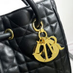 Christian Dior Medium Dior Nolita Bag Black
